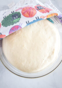 bread dough rising in a bowl