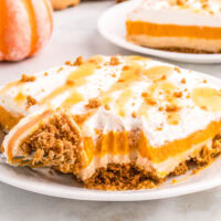 close up pumpkin delight
