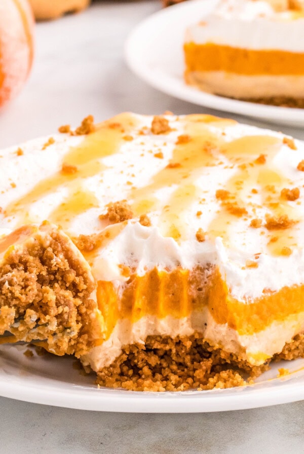 close up pumpkin delight