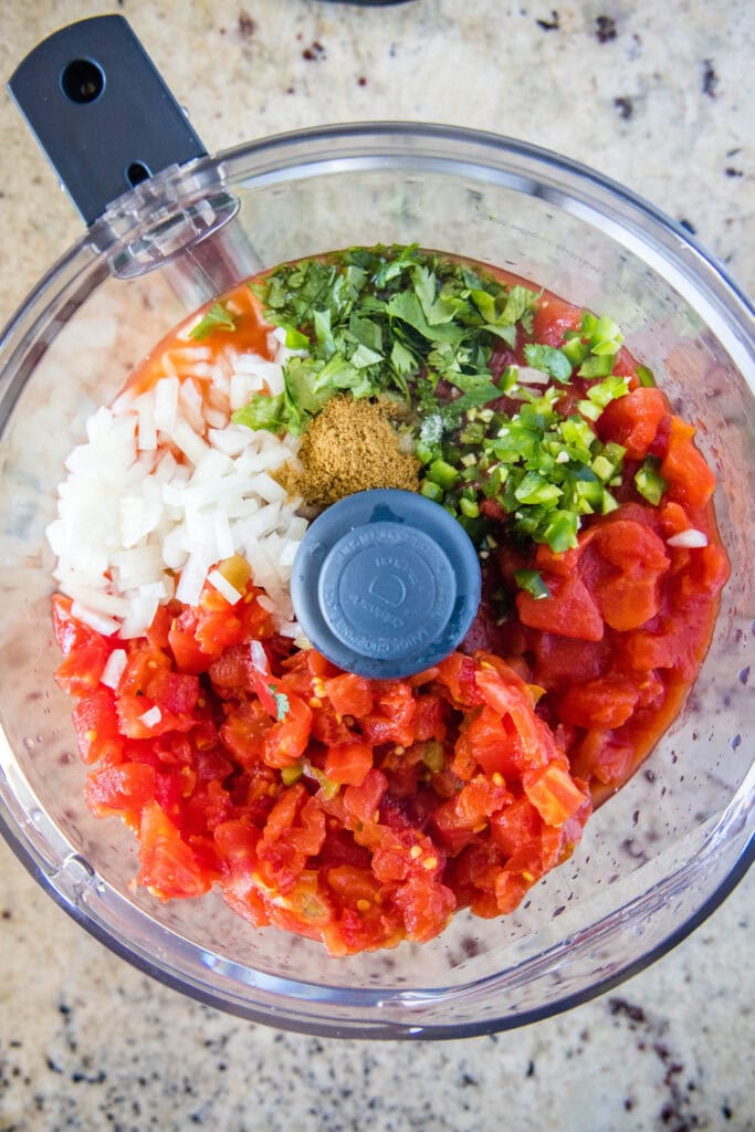 salsa ingredients in food processor