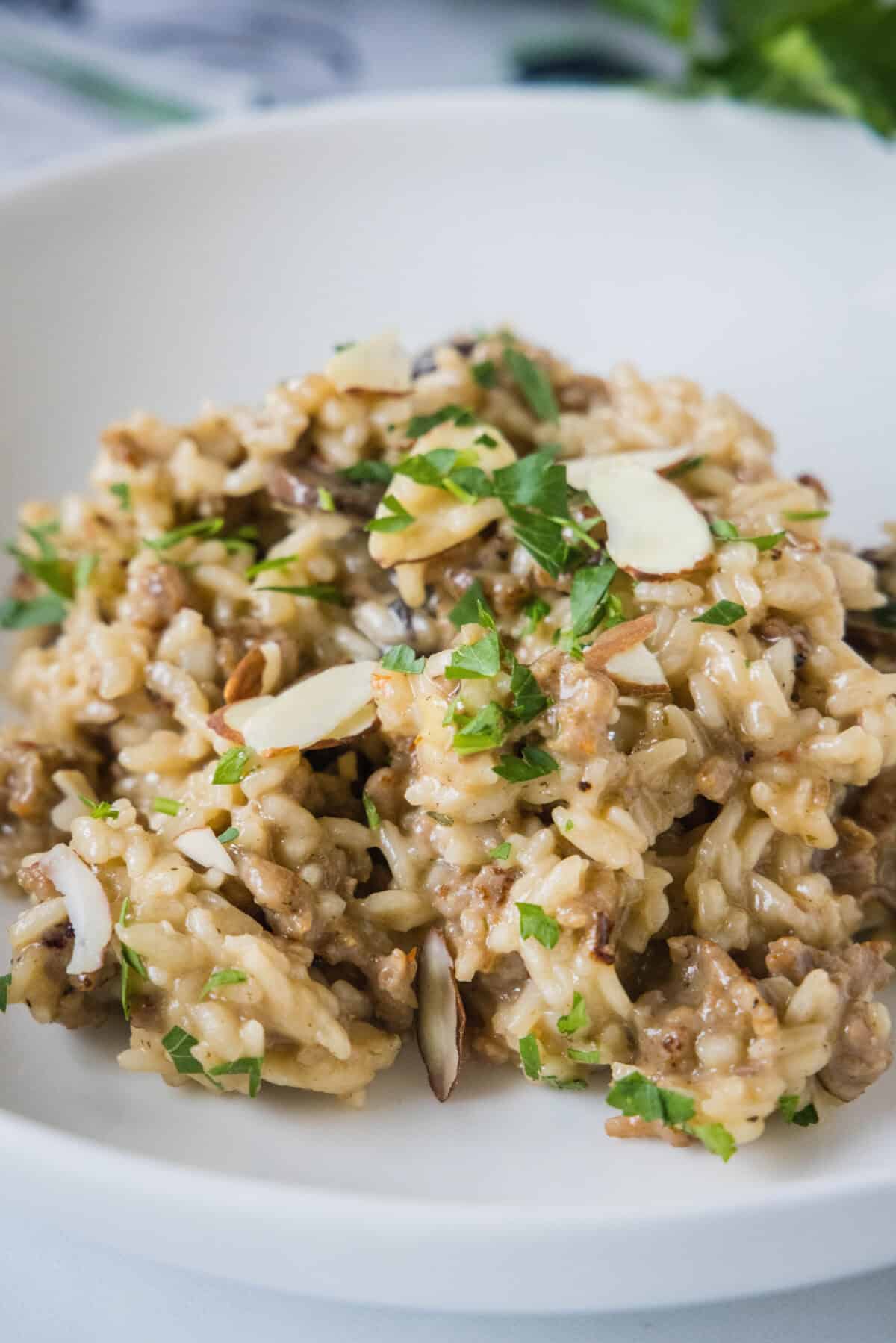 sausage and rice casserole in a bowl