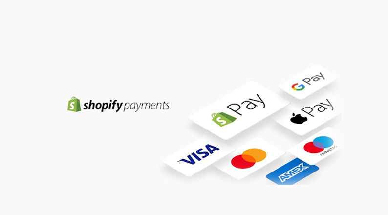 Shopify Payment Options