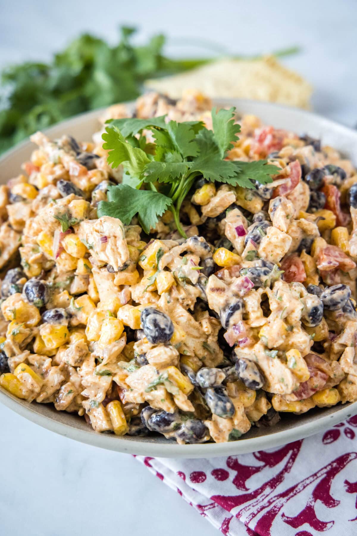 Close up of a bowl of southwest chicken salad topped with cilantro