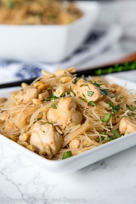 Spicy Asian Noodles with Chicken - a quick and easy Asian Noodle stir fry made with pantry ingredients you can have on the table in minutes!