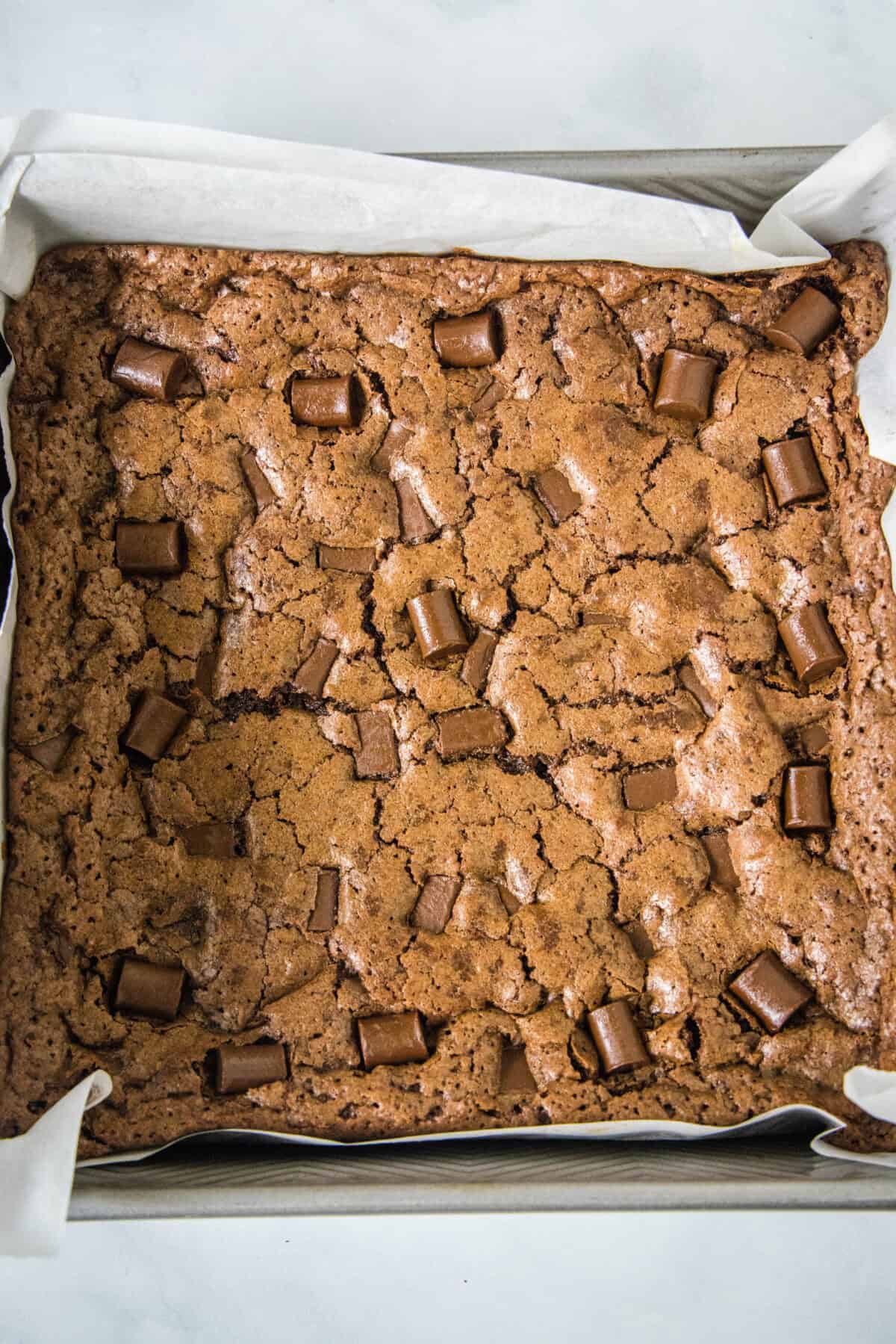 looking down on pan of starbucks brownies