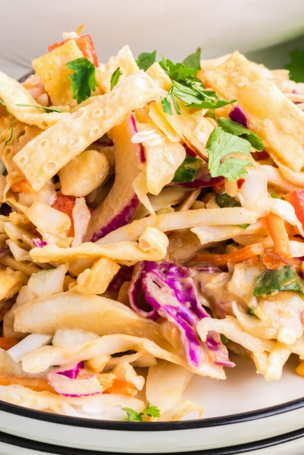 close up thai chicken salad on a plate