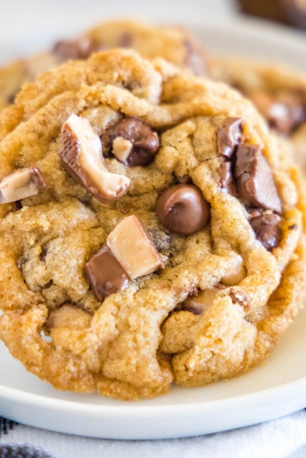 close up toffee graham cracker cookies