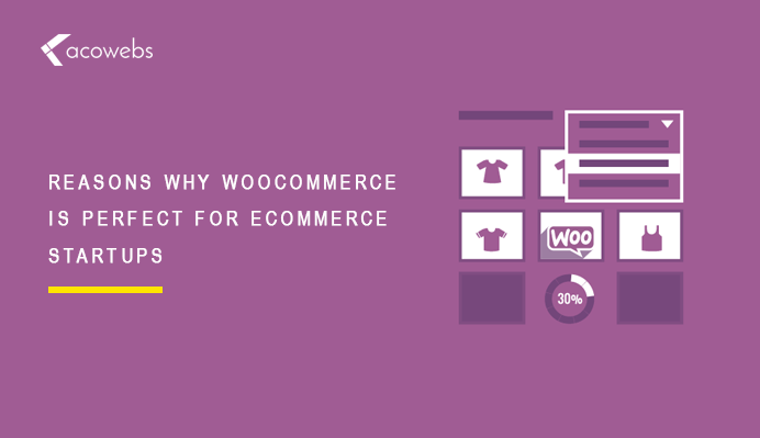 13 Reasons Why WooCommerce is Perfect for eCommerce Startups